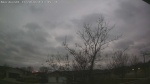 Web Cam Image - Wed, 11/20/2024 11:16am CST